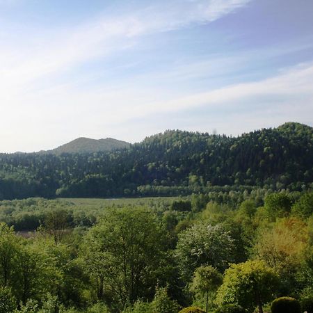Lesny Dworek 1 Wolkowyja Luaran gambar