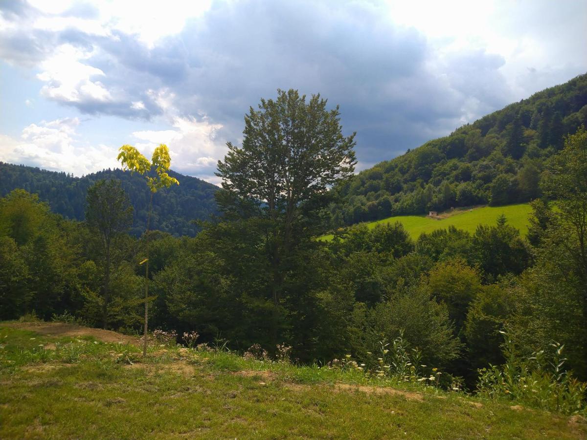 Lesny Dworek 1 Wolkowyja Luaran gambar
