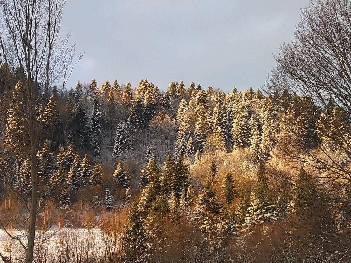 Lesny Dworek 1 Wolkowyja Luaran gambar