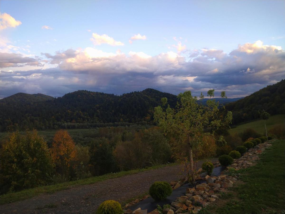 Lesny Dworek 1 Wolkowyja Luaran gambar
