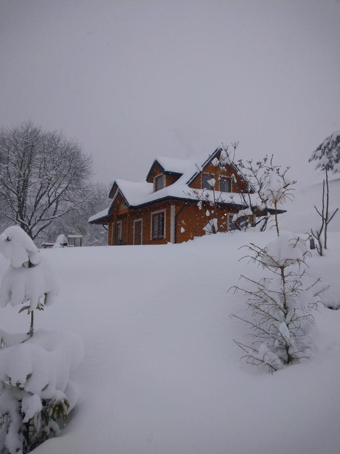 Lesny Dworek 1 Wolkowyja Luaran gambar