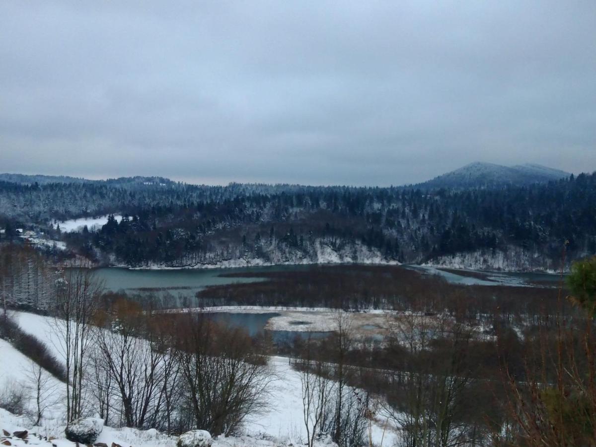 Lesny Dworek 1 Wolkowyja Luaran gambar
