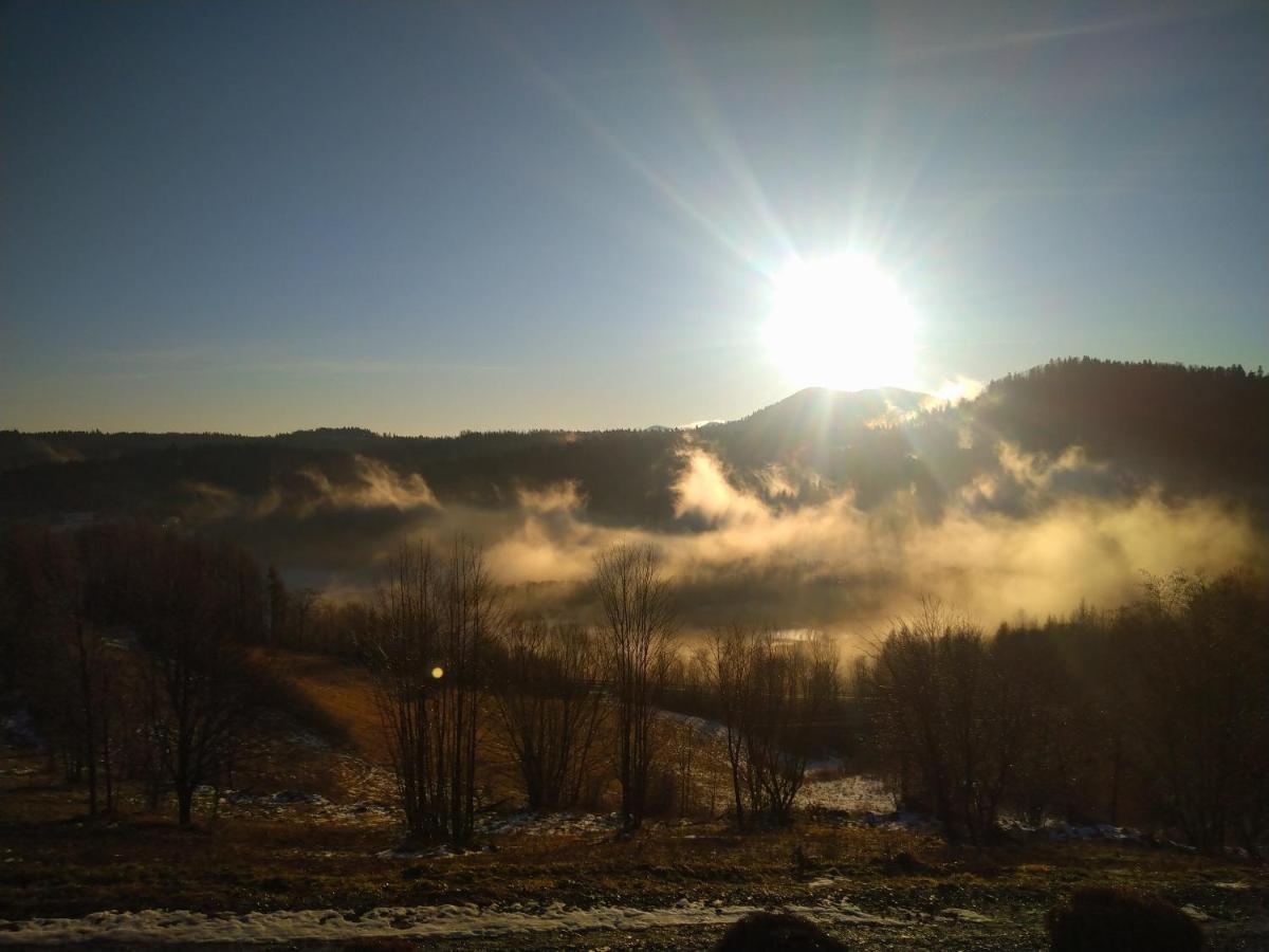 Lesny Dworek 1 Wolkowyja Luaran gambar