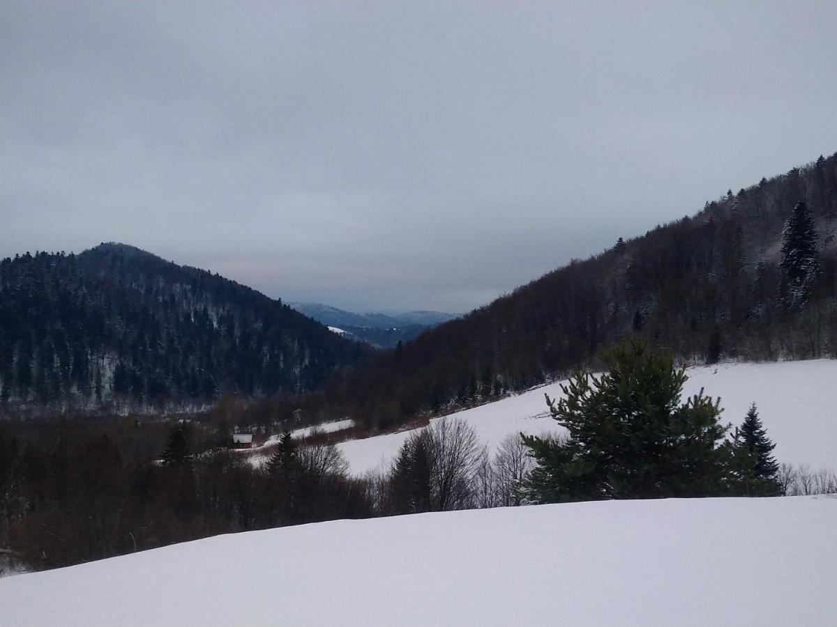 Lesny Dworek 1 Wolkowyja Luaran gambar