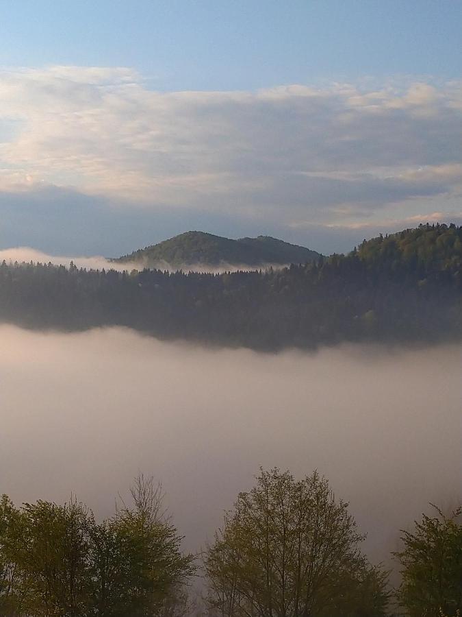 Lesny Dworek 1 Wolkowyja Luaran gambar