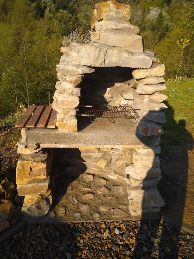 Lesny Dworek 1 Wolkowyja Luaran gambar