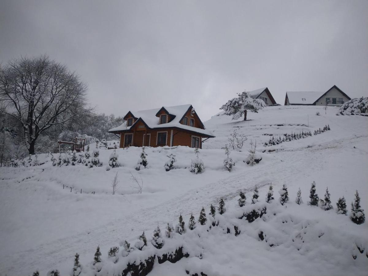 Lesny Dworek 1 Wolkowyja Luaran gambar