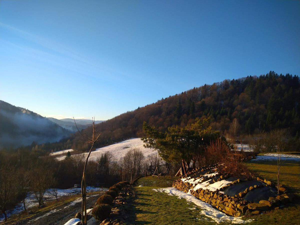 Lesny Dworek 1 Wolkowyja Luaran gambar