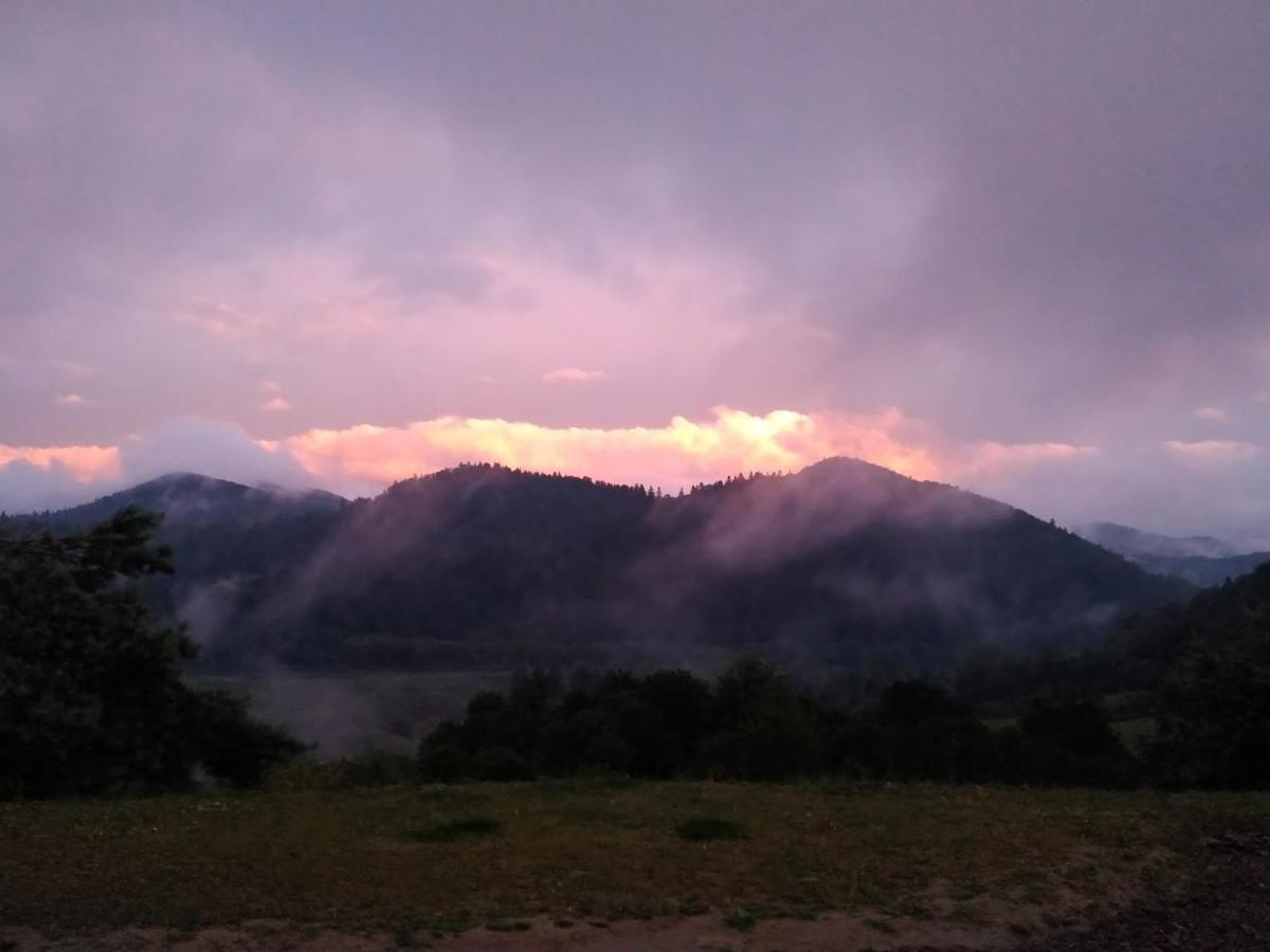 Lesny Dworek 1 Wolkowyja Luaran gambar