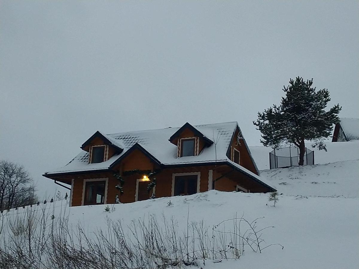 Lesny Dworek 1 Wolkowyja Luaran gambar