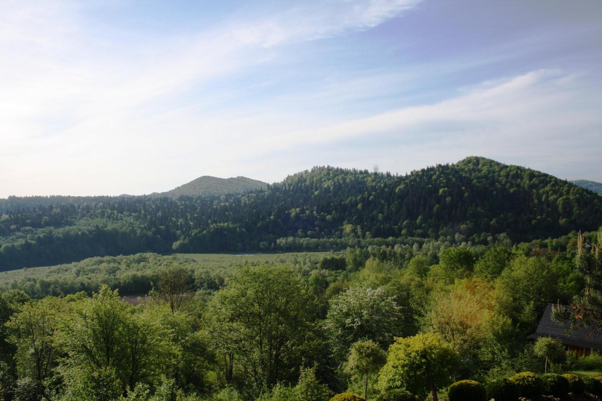 Lesny Dworek 1 Wolkowyja Luaran gambar