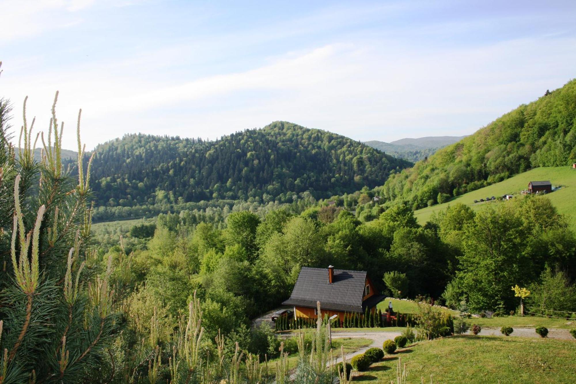 Lesny Dworek 1 Wolkowyja Luaran gambar