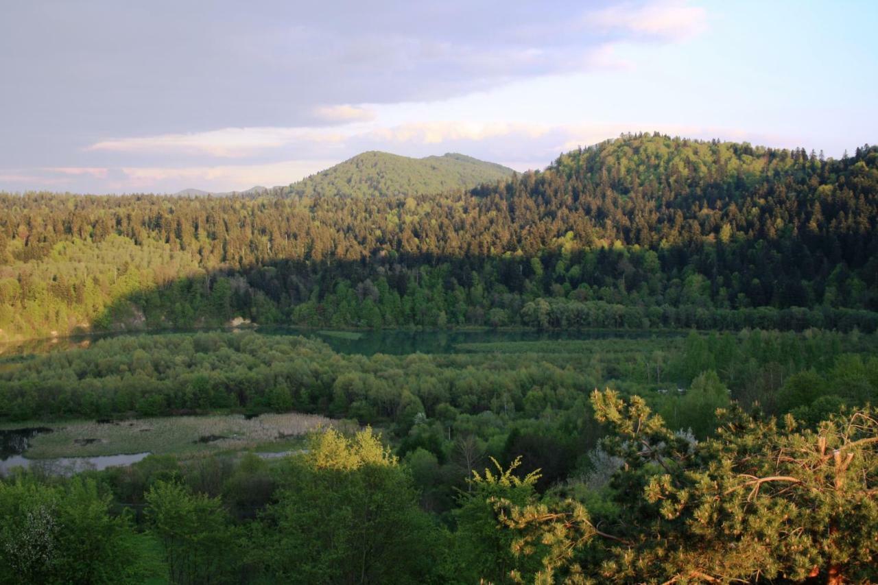 Lesny Dworek 1 Wolkowyja Luaran gambar