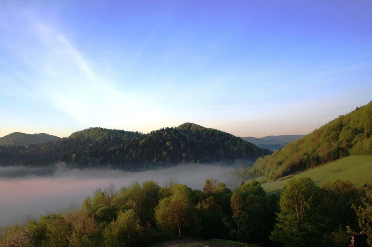 Lesny Dworek 1 Wolkowyja Luaran gambar
